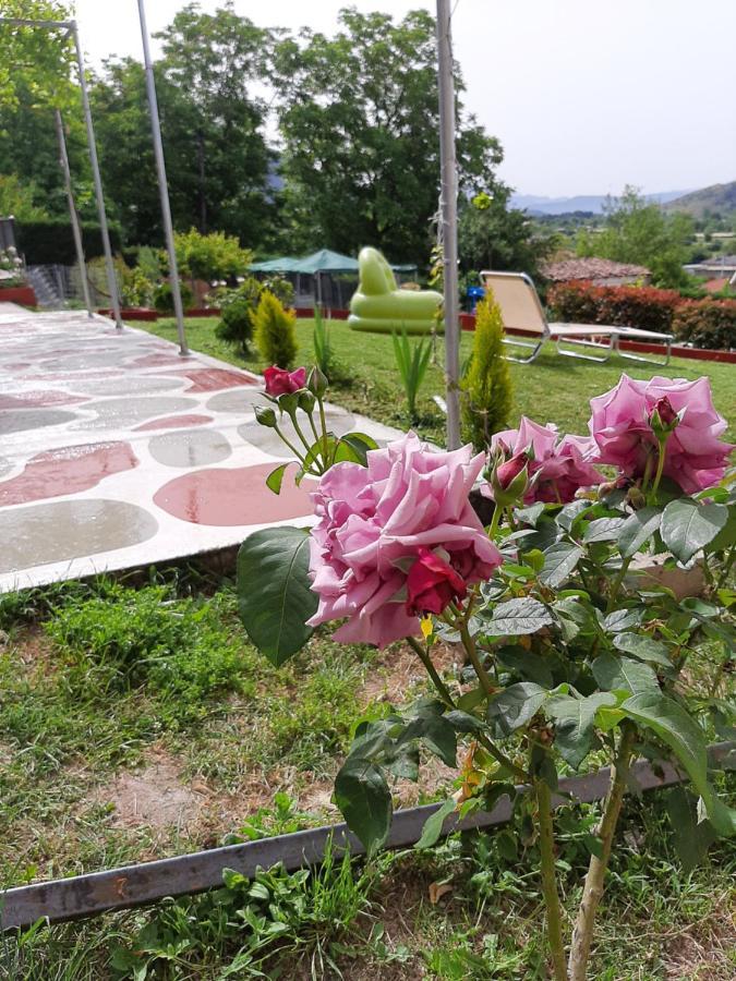 Valena'S House Apartment Ioannina Luaran gambar