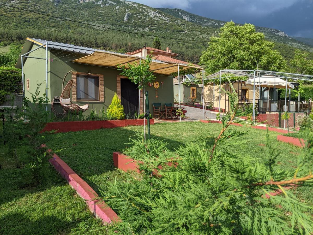 Valena'S House Apartment Ioannina Luaran gambar