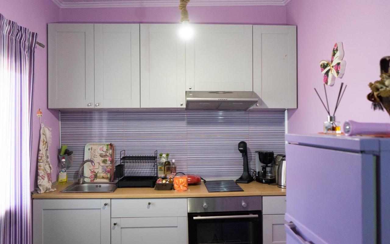 Valena'S House Apartment Ioannina Luaran gambar