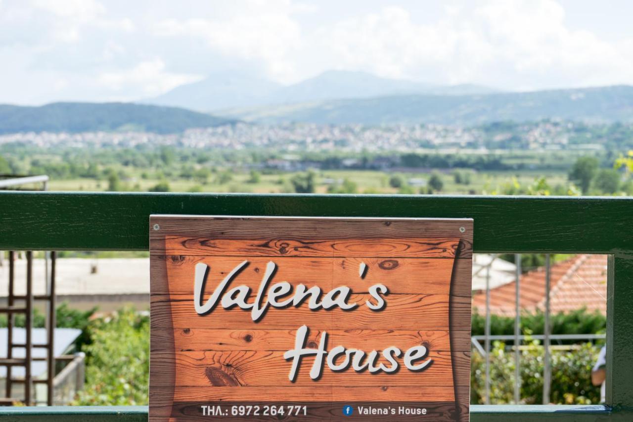 Valena'S House Apartment Ioannina Luaran gambar