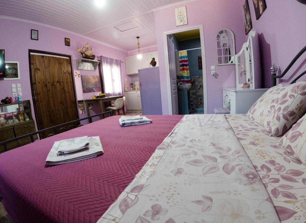 Valena'S House Apartment Ioannina Luaran gambar