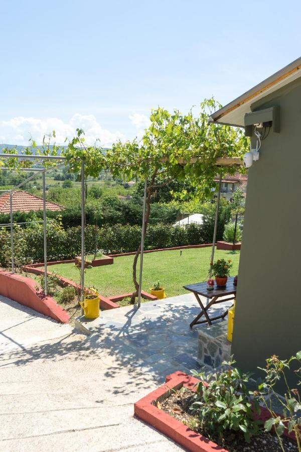 Valena'S House Apartment Ioannina Luaran gambar