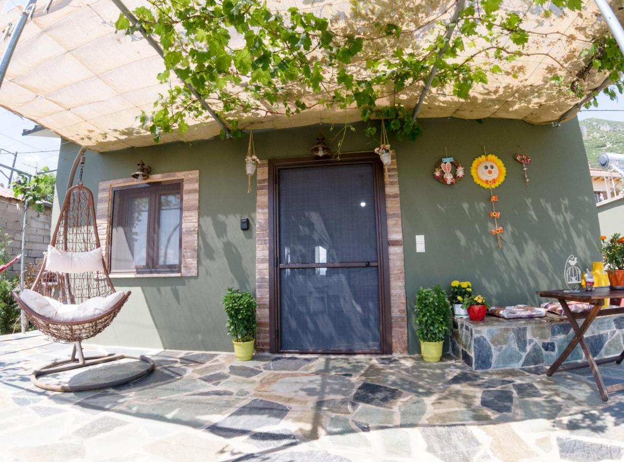 Valena'S House Apartment Ioannina Luaran gambar