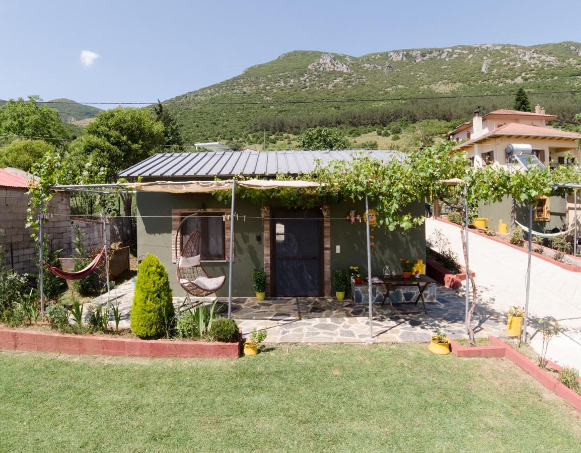 Valena'S House Apartment Ioannina Luaran gambar