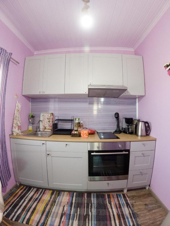 Valena'S House Apartment Ioannina Luaran gambar