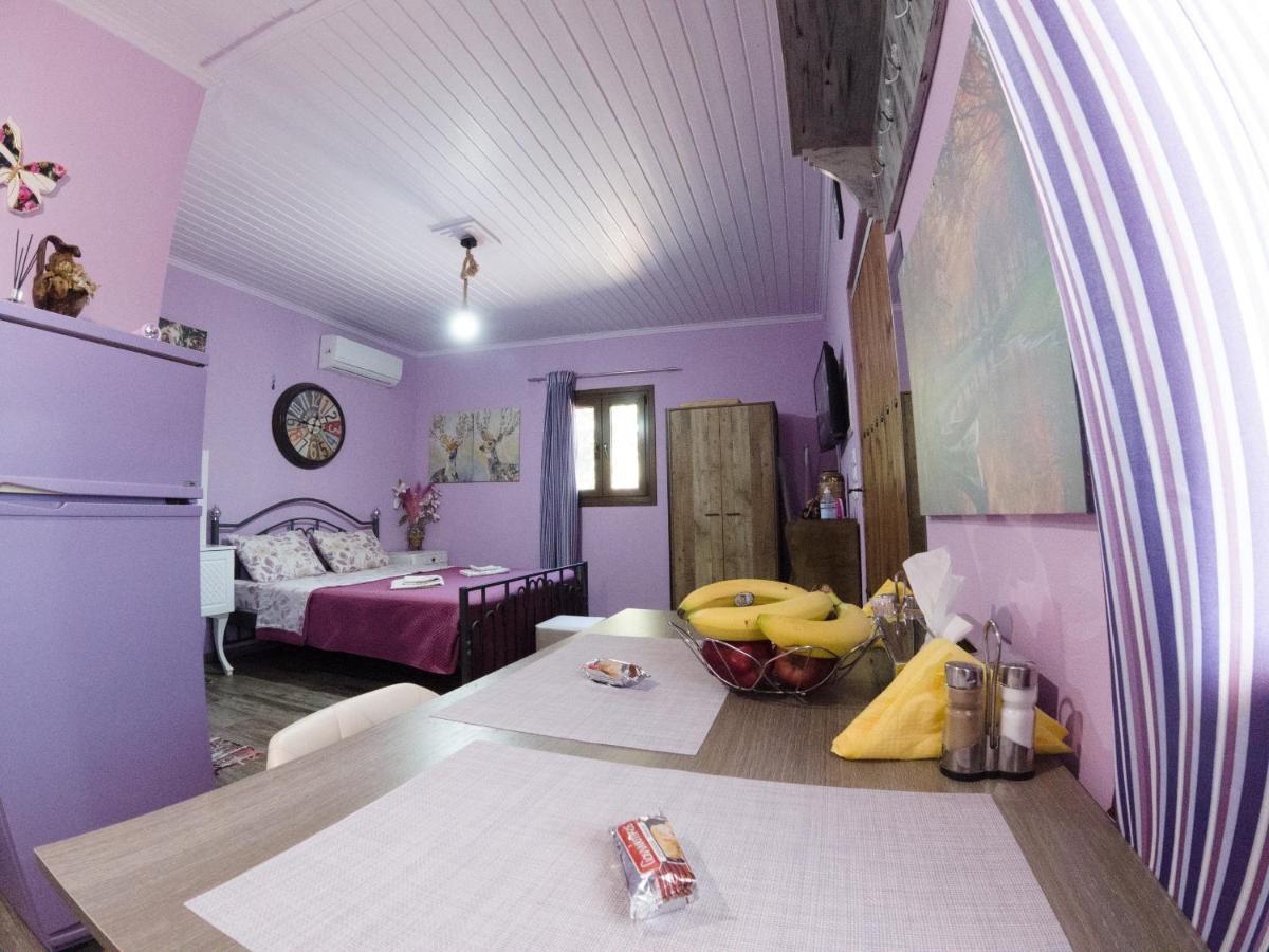 Valena'S House Apartment Ioannina Luaran gambar