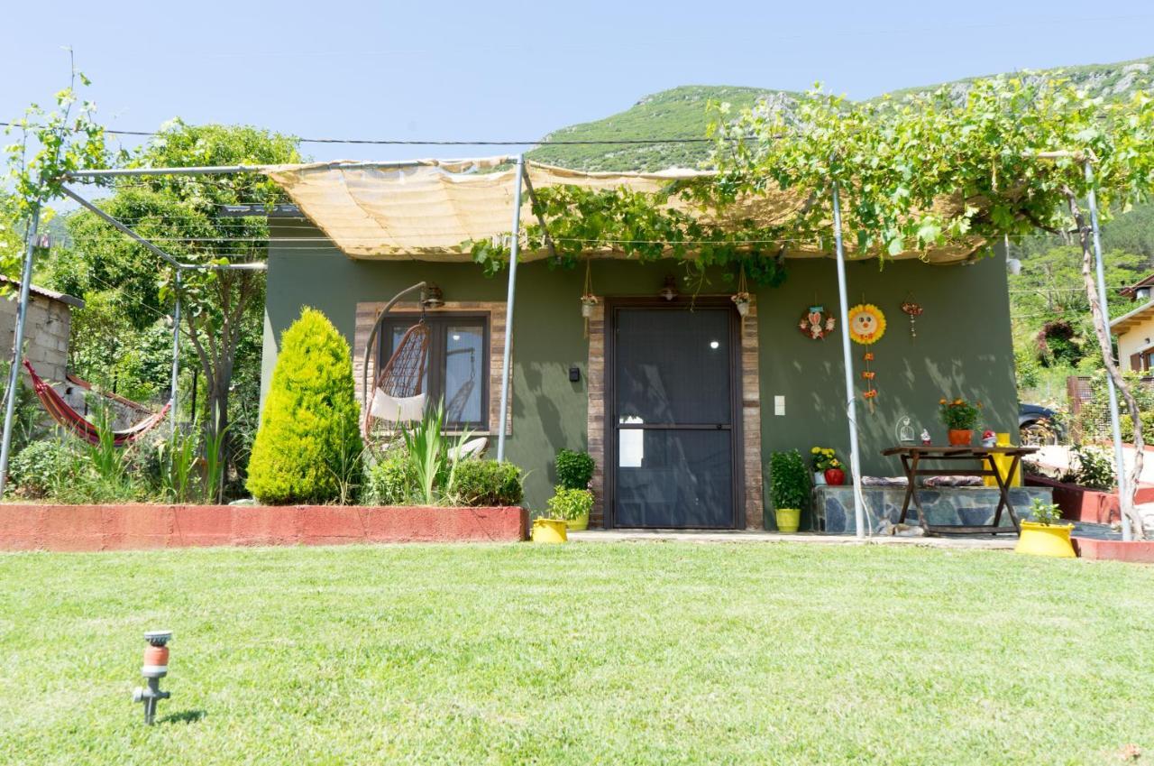 Valena'S House Apartment Ioannina Luaran gambar